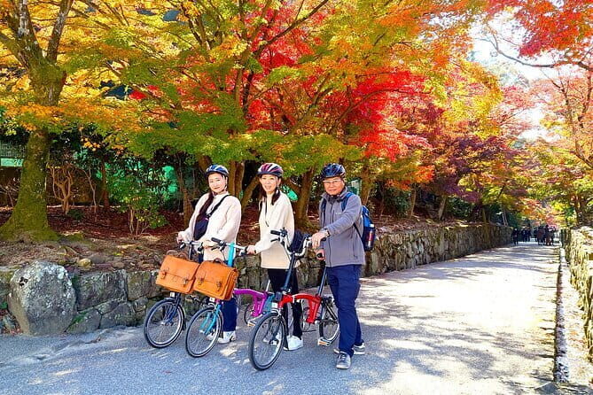 Slow Cycling Tour at Uji's Matcha Green Tea Fields and Heritage - Key highlights you’ll actually notice
