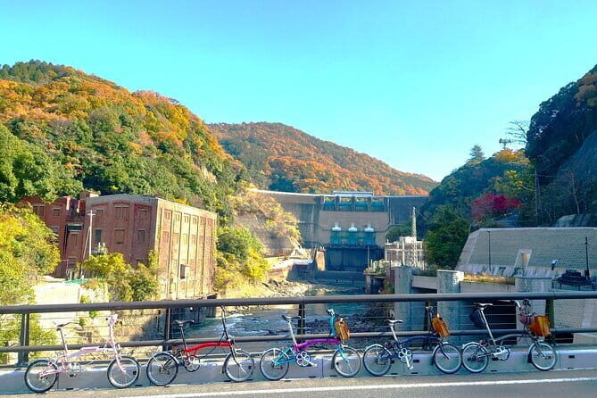 Slow Cycling Tour at Uji's Matcha Green Tea Fields and Heritage - Why Uji by Brompton makes matcha feel personal