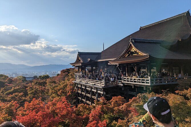 Tour in Kyoto with a Goverment Certified Tour Guide - Key Things I’d Bet On Before You Book
