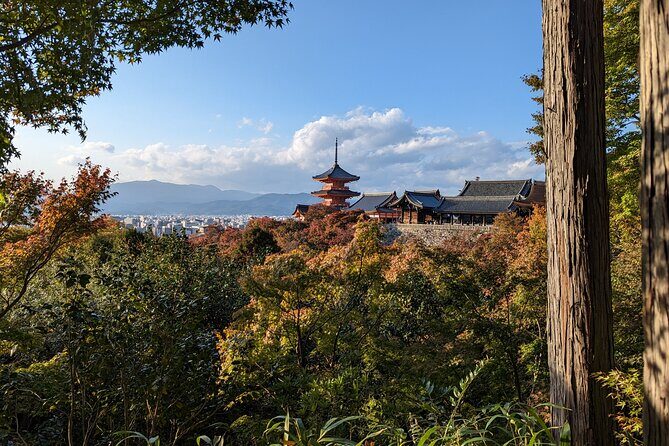 Tour in Kyoto with a Goverment Certified Tour Guide - What This Kyoto Tour Gets Right: A Day That Flows