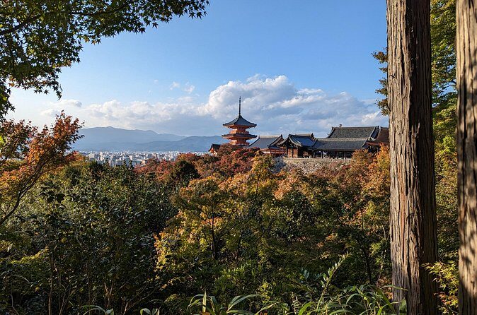 Tour in Kyoto with a Goverment Certified Tour Guide - Gion on Foot and Nishiki Market: Two Very Different Sides