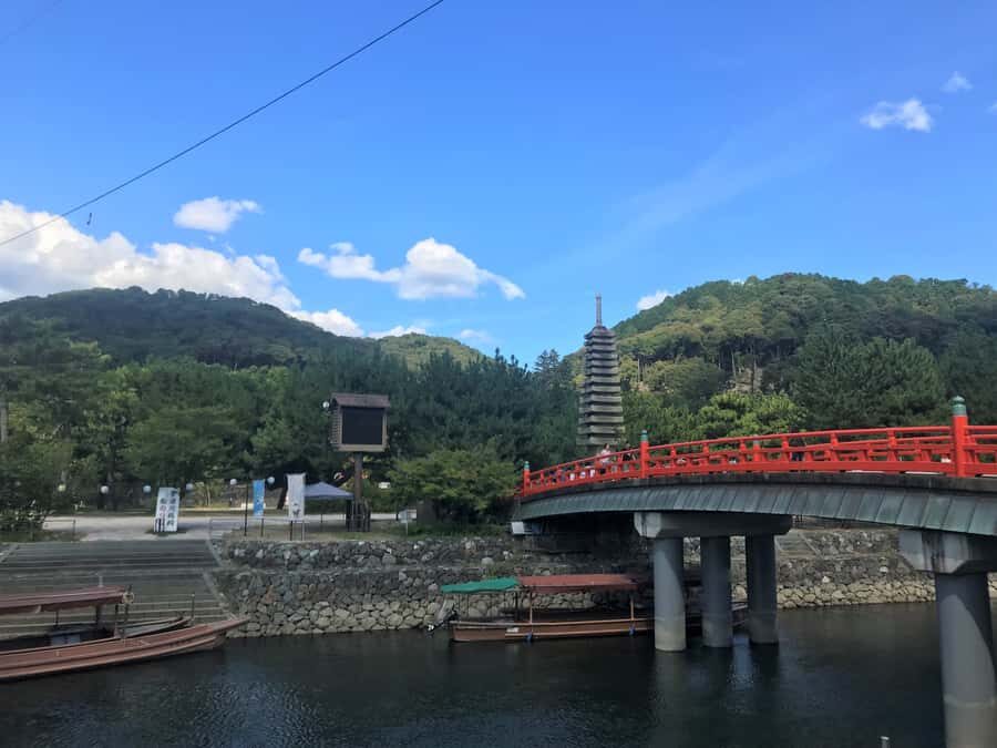 Uji: Green Tea Tour with Byodoin and Koshoji Temple Visits - Who Should Book This Uji Green Tea and Temple Tour?