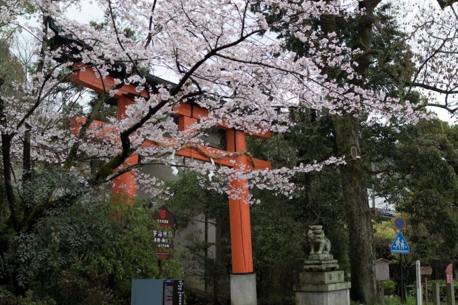 Uji: UNESCO Heritage & Tea Ceremony Walking Tour - Getting your bearings: Uji in just 3 hours
