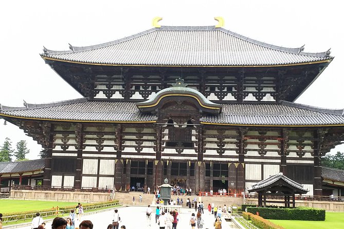 One-Day Tour of Amazing 8th Century Capital Nara - Booking Details
