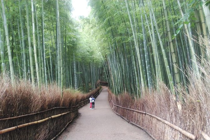 Private Full-Day Tour: Kyoto's Arashiyama and Kinkakuji Temple 2024 - Meeting Points