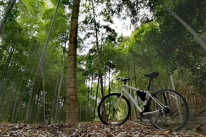 Arashiyama Bamboo Bike Tour (Early Bird) - Booking and Pricing