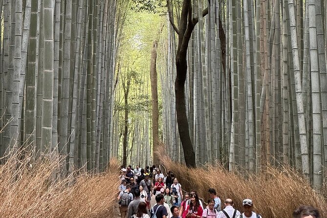 Treasures of Kyoto : Gion & Historical Private Tour - Expert Local Guide