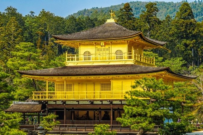 Kyoto Full-Day Private Tour by Public Transportation - Tour Highlights