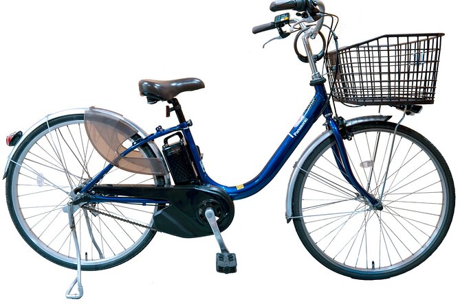 Private Cycling Tour by E-Bike (Am; With an Authorized Guide) - Booking Confirmation