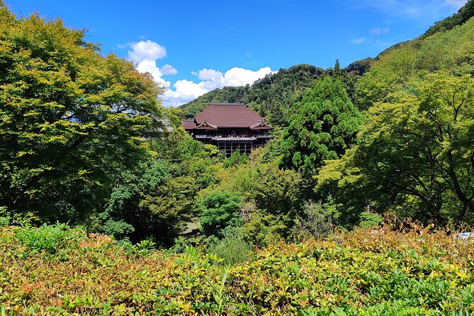 Hike Through Kyotos Best Tourist Spots - Nature Exploration