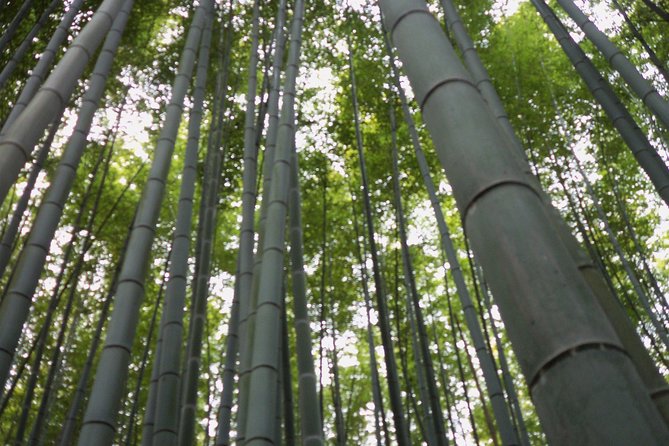 【Fushimi Inari Shrine】A Local Born in Kyoto Shares the Secret Path Away Tourists - Additional Information