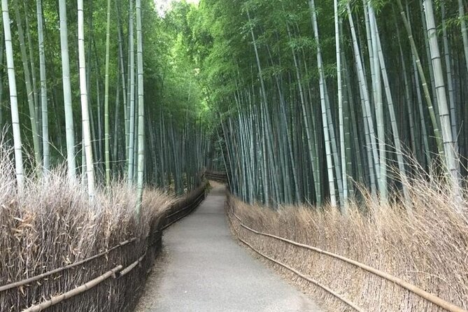 Half-Day Private Guided Tour in Kyoto, Arashiyama - Booking Confirmation and Accessibility