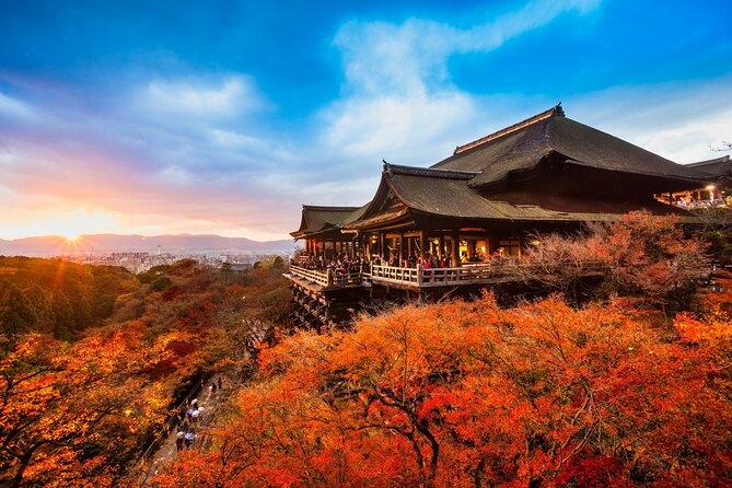 Kyoto Top Highlights Full-Day Trip From Osaka/Kyoto - Visitor Tips for Kyoto Exploration