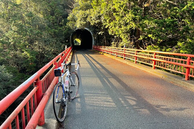 Rent a Road Bike to Explore Kyoto and Beyond - Pedal Options Available