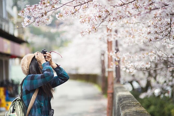 Kyoto Unveiled: A Tale of Heritage, Beauty & Spirituality - Beauty of Kiyomizu Temple