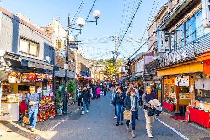 6-Hour Private Walking Cultural Tour in Kyoto - Tour Guide Information