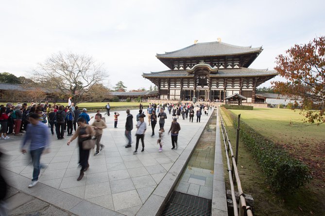 Kyoto and Nara 1 Day Trip - Golden Pavilion and Todai-Ji Temple From Kyoto - Negative Feedback and Issues