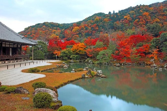 Kyoto Sagano Bamboo Grove & Arashiyama Walking Tour - Traveler Experiences