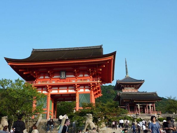 Kiyomizu Temple and Backstreets of Gion, Half Day Private Tour - Included Services