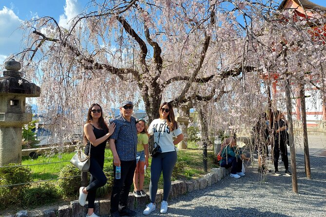 Kyoto Best Spots Private Tour With Licensed Guide (4h/6h) - Tour Highlights