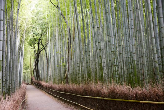 Kyoto Arashiyama Best Spots 4h Private Tour With Licensed Guide - Reviews and Recommendations