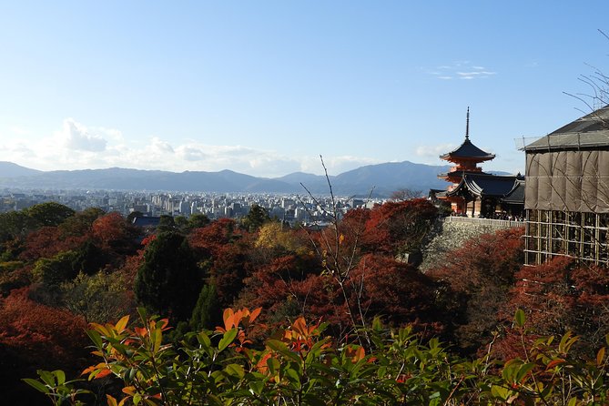 Kyoto Full Day (8 Hours) Sightseeing Privatetour - Cancellation Policy Details