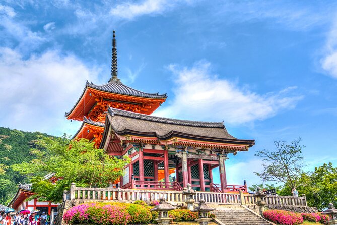 Kyoto Full Day (8 Hours) Sightseeing Privatetour - Reviews and Ratings