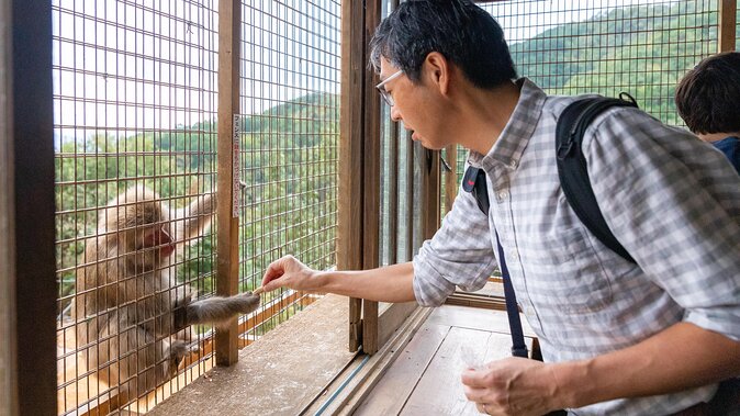 City Escape: Arashiyama Park Private Day Trip - Booking Confirmation Details