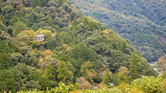 City Escape: Arashiyama Park Private Day Trip - Physical Fitness Recommendations