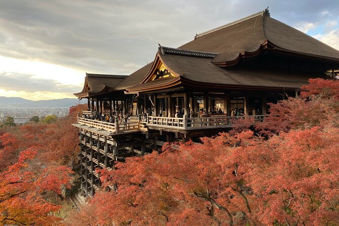 Experience the Unique "Oh, My Guide" Rent a Car in Kyoto - Rental Details