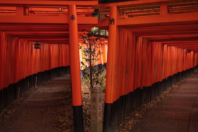 10 Must-See Spots in Kyoto One Day Private Tour (Up to 7 People) - Customer Reviews