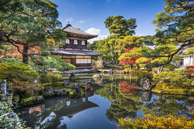 Private Kyoto Tour for Families With a Local, 100% Personalized - Cancellation Policy