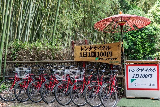 Arashiyama Bamboo Grove Day Trip From Kyoto With a Local: Private & Personalized - Pricing and Booking Information