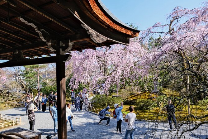 Kyoto Day Tour Tenryu-ji Temple Arashiyama Grove and Kinkaku-ji - Accessibility Details