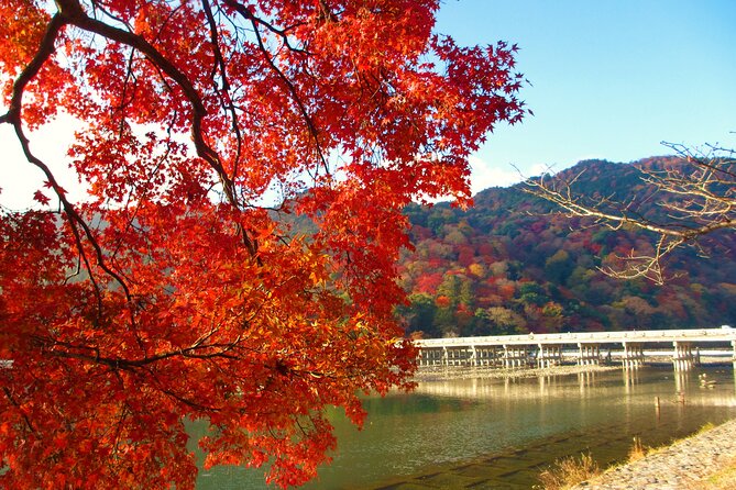 Kyoto Day Tour Tenryu-ji Temple Arashiyama Grove and Kinkaku-ji - Tour Highlights