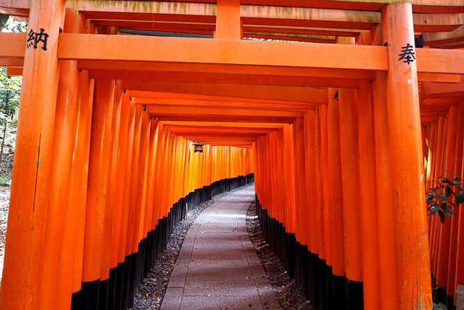 Kyoto Day Tour Tenryu-ji Temple Arashiyama Grove and Kinkaku-ji - Pricing and Guarantee