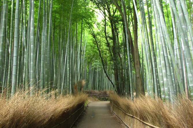 Kyoto Day Tour Tenryu-ji Temple Arashiyama Grove and Kinkaku-ji - Cancellation Policy