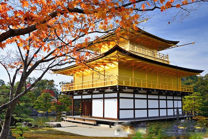 Full Day Guided Kyoto Cultural Tour - Tour Highlights