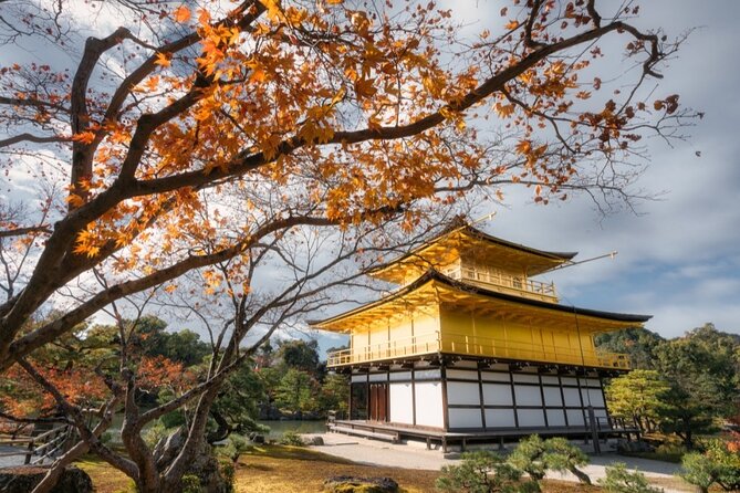 Full Day Guided Kyoto Cultural Tour - Important Tour Reminders