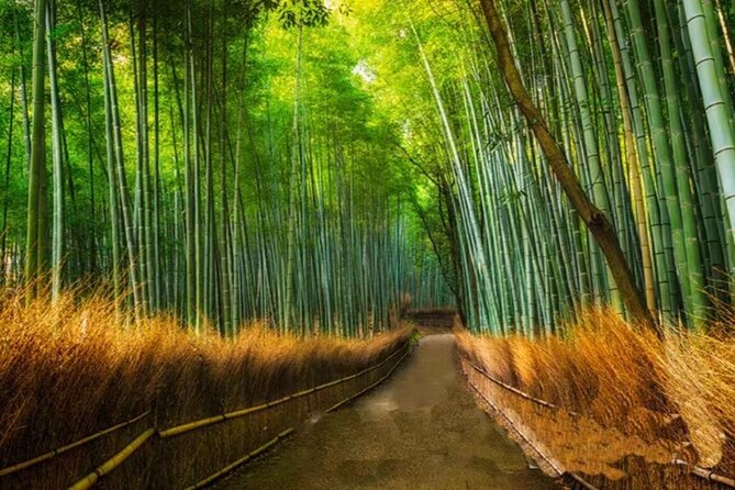 Kyoto Arashiyama Sanzen In Temple Day Tour - Cancellation Policy Details