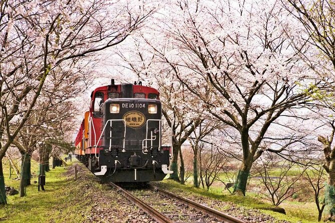 Kyoto Arashiyama Sanzen In Temple Day Tour - Booking Information and Pricing