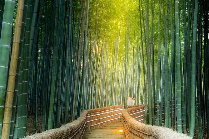 Kyoto Arashiyama Sanzen In Temple Day Tour - Total Duration and Fitness Level