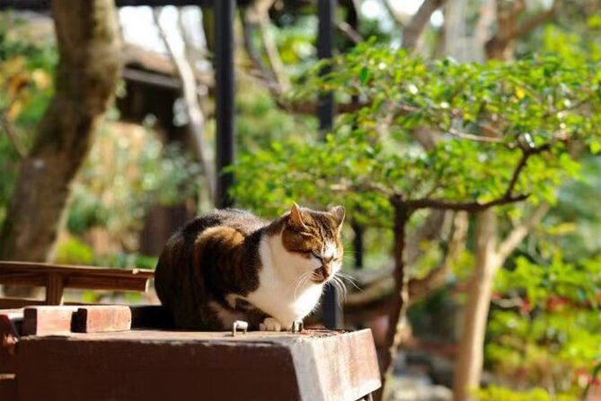 Kyoto Arashiyama Sanzen In Temple Day Tour - Copyright and Directions