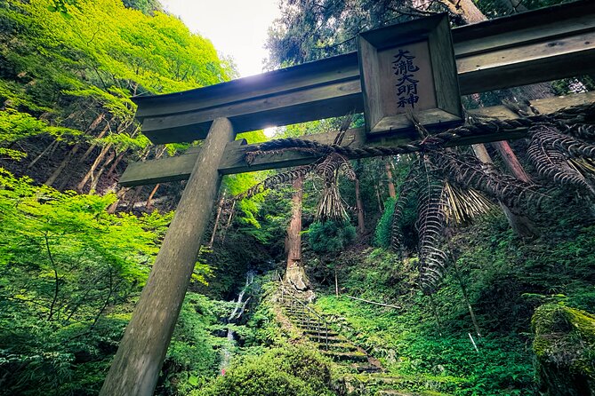 Green Tea Fields, Serene Beautiful Nature of Kyoto: Private Tour - Tour Highlights