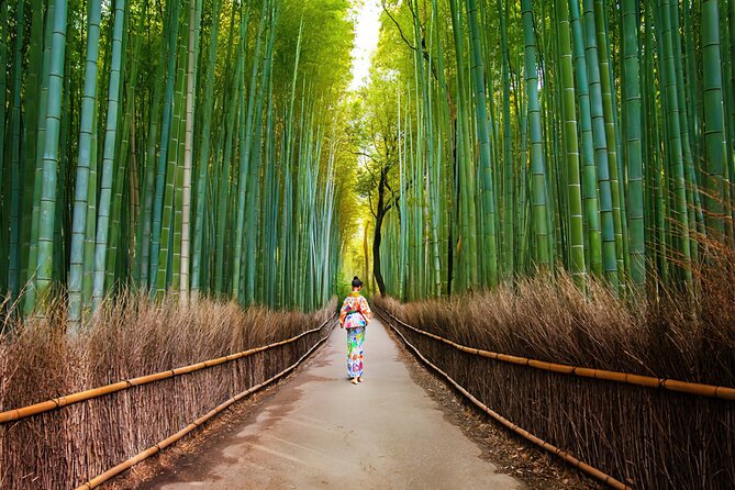 Arashiyama Walking Tour - Bamboo Forest, Monkey Park & Secrets - Tour Overview