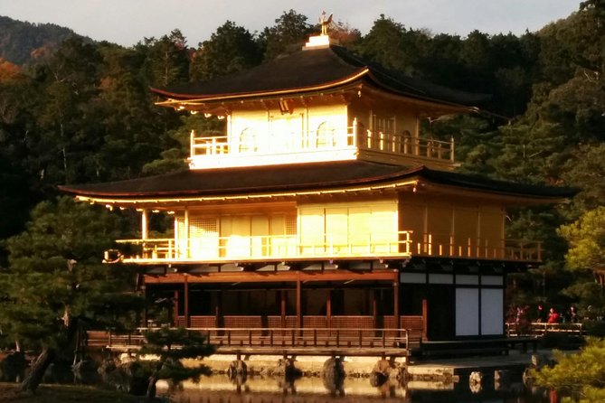 Private Highlights of Kyoto Tour - Tour Information and Routes