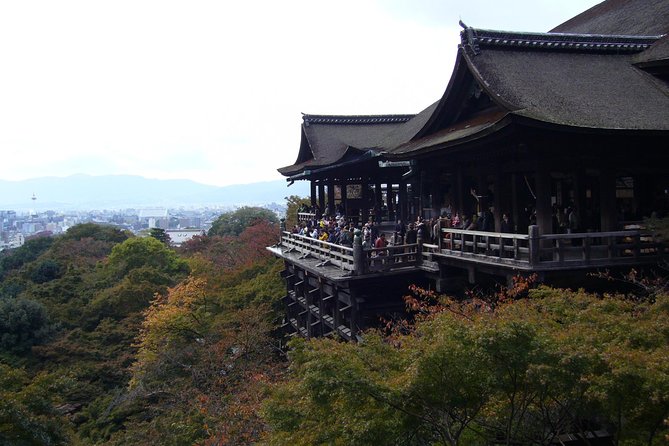 Private Highlights of Kyoto Tour - Customer Satisfaction and Value