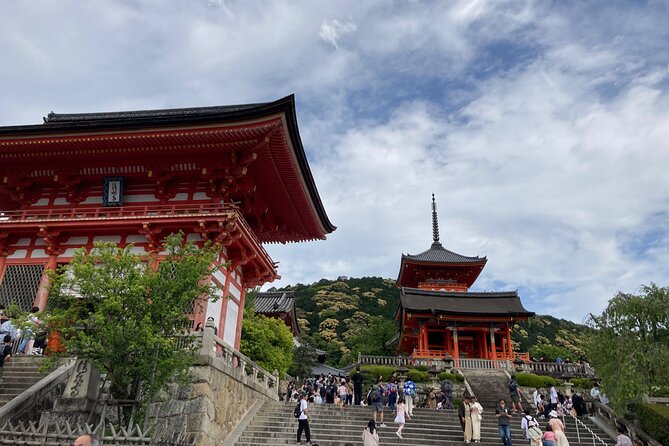 Kyoto Private Magical Tour With a Local Guide - Reviews