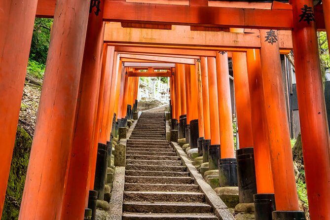 Fushimi Inari Mountain Hiking Tour With a Local Guide - Cancellation Policy Details