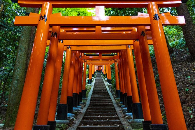Fushimi Inari Mountain Hiking Tour With a Local Guide - Pricing Information and Terms
